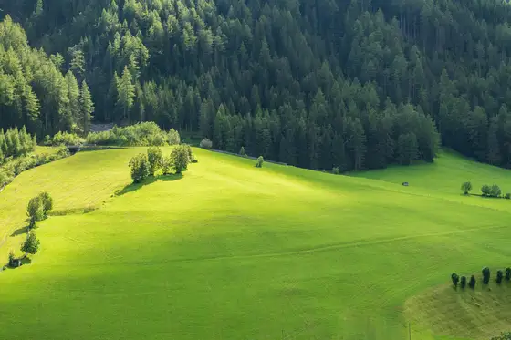 La valle è stretta e speso la differenza tra un lato e l'altro della vallata è sostanziale.
