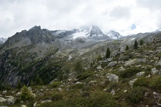 Alle spalle del Rifugio Roma il panorama severo delle Vedrette