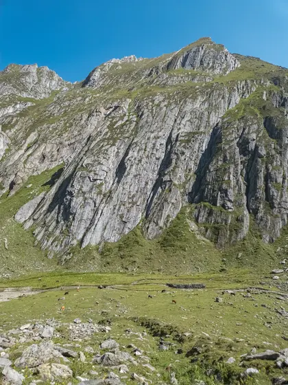 La valle è larghissima e un torrentello la percorre, come quasi ovunque in valle Aurina. Le muchce che si abbeverano danno una idea della vastità